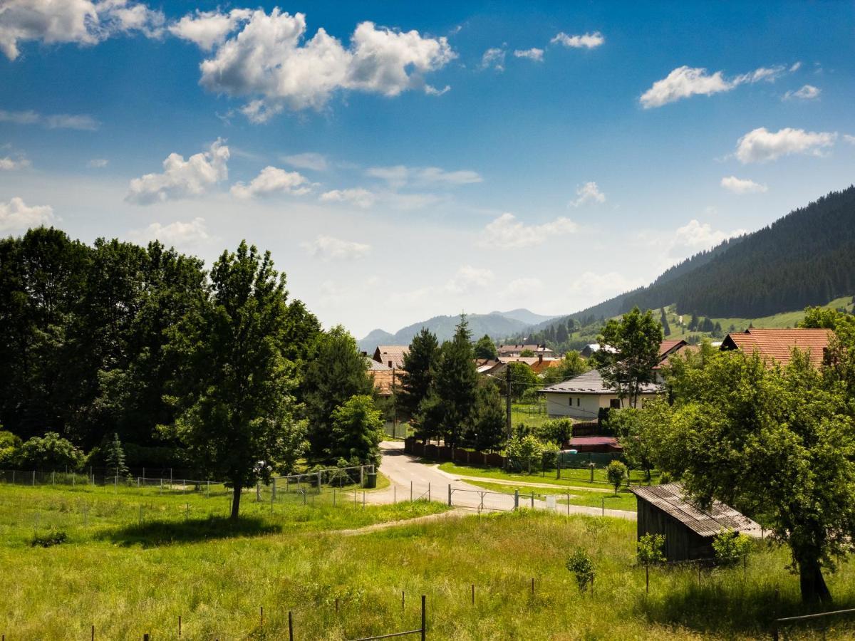 Pensiunea Magda Câmpulung Moldovenesc Exterior foto
